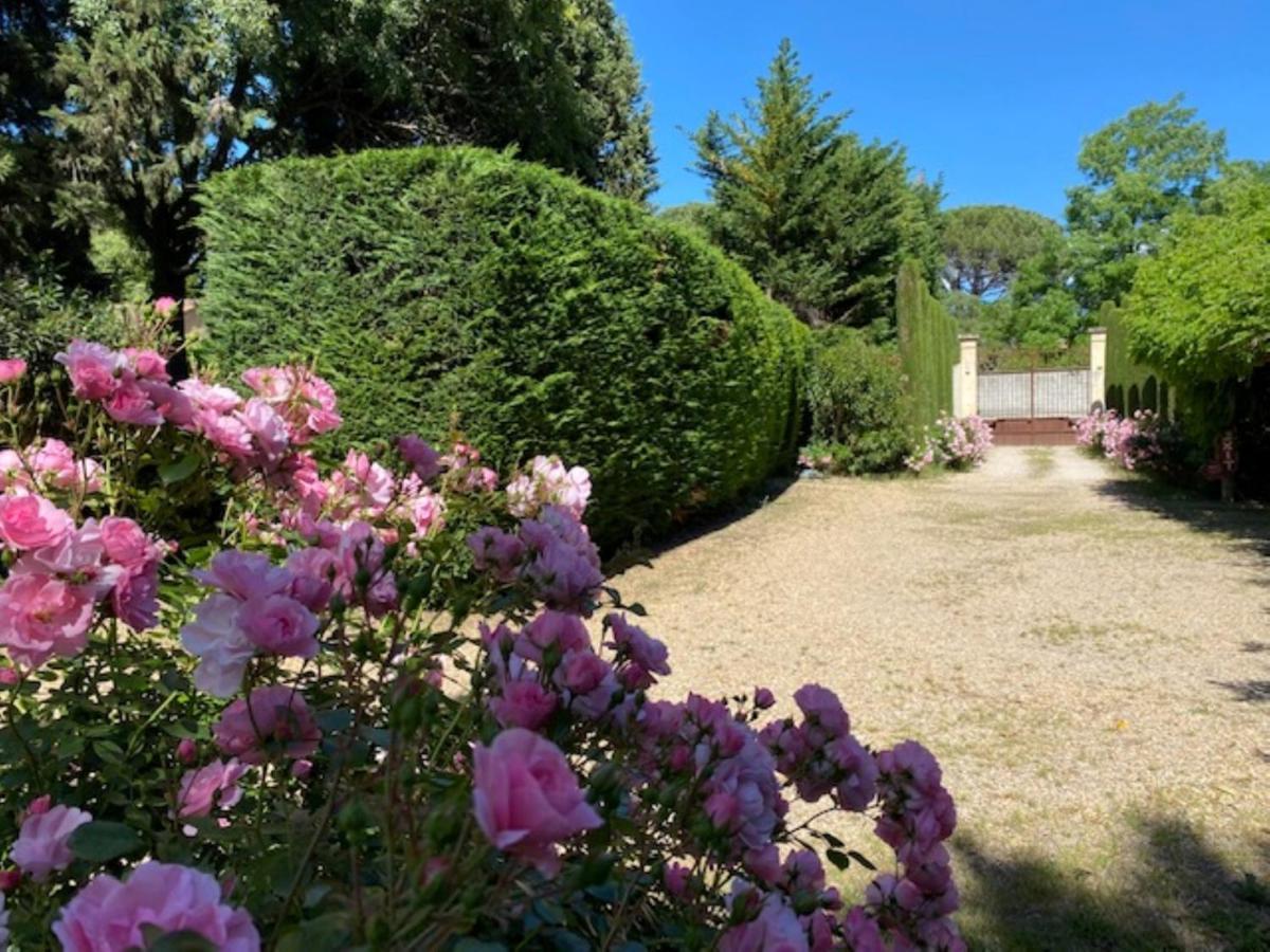 Mas La Pauline Gites De Charme & Roulotte Saint-Remy-de-Provence Luaran gambar