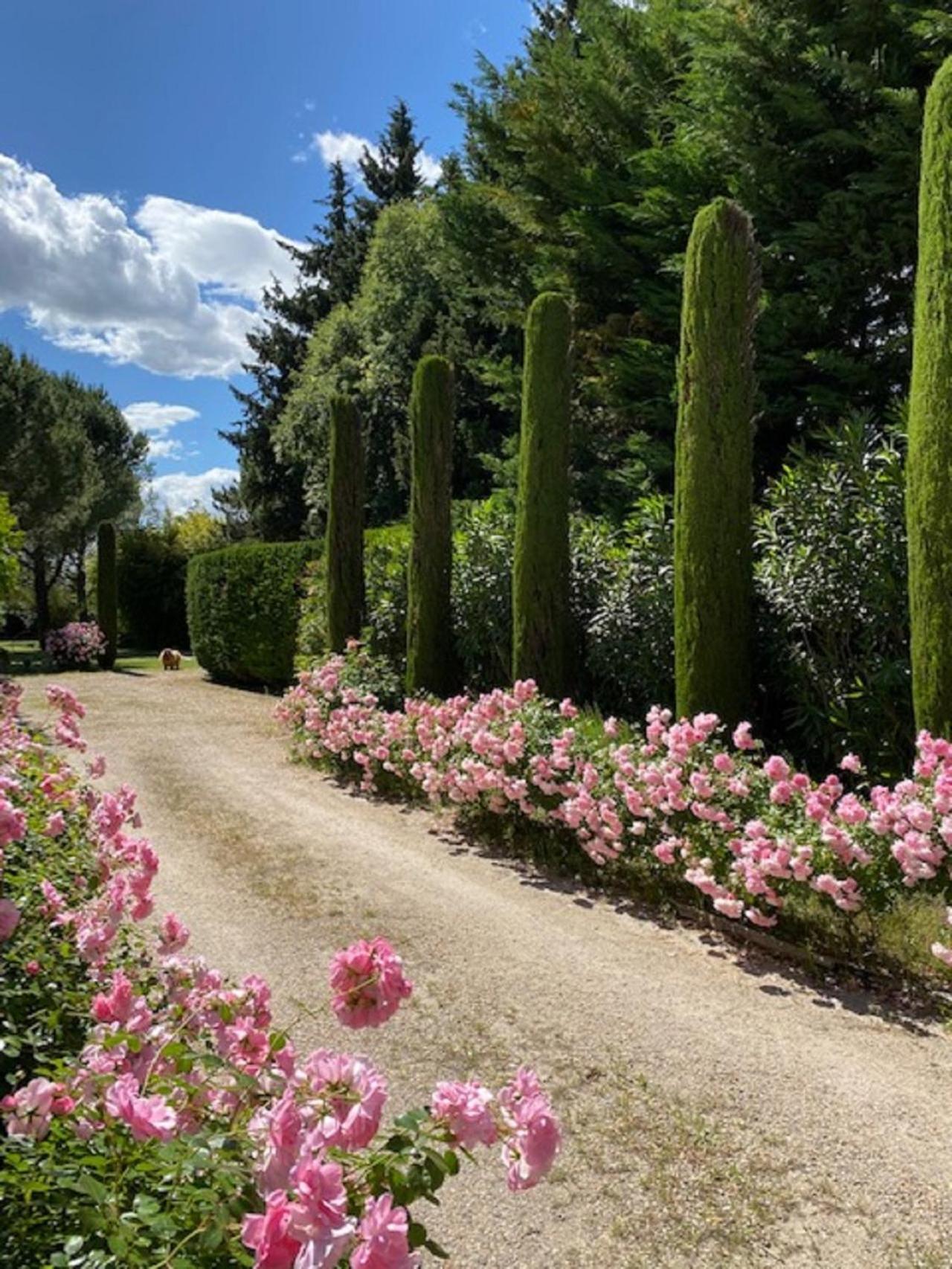 Mas La Pauline Gites De Charme & Roulotte Saint-Remy-de-Provence Bilik gambar