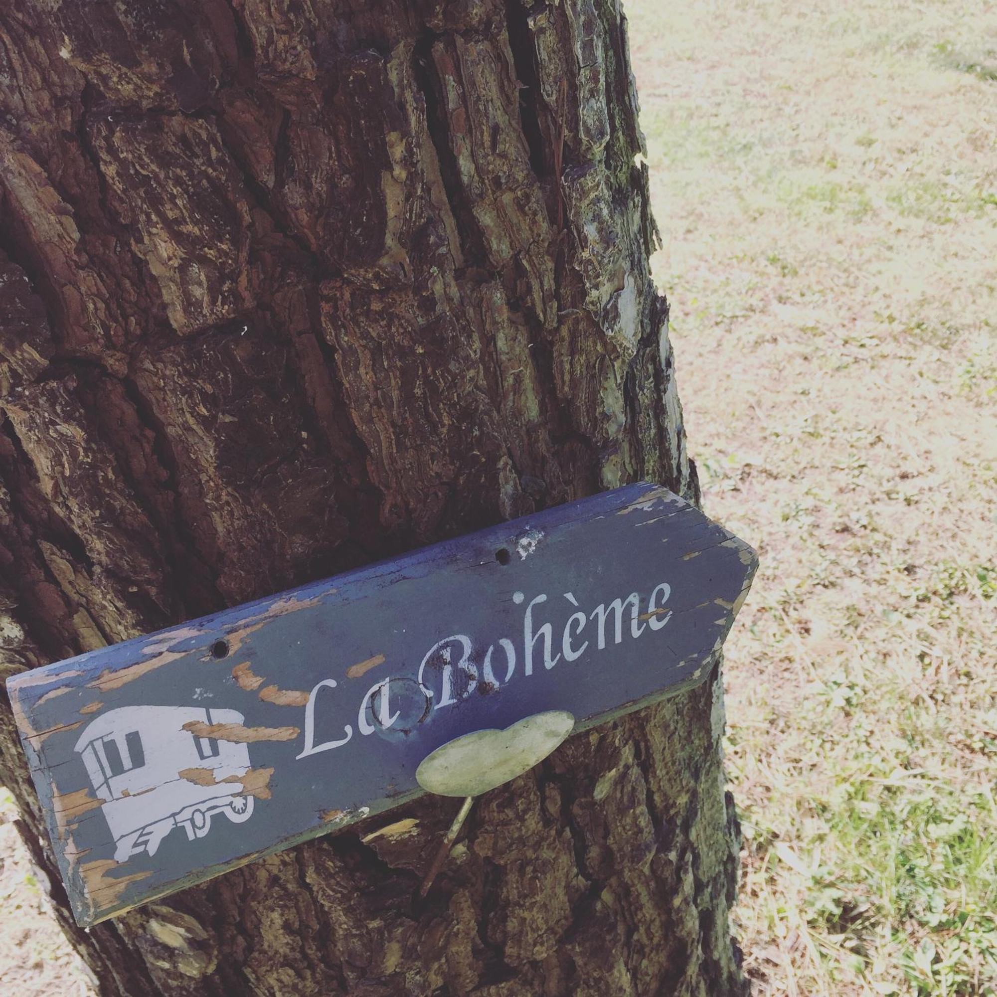 Mas La Pauline Gites De Charme & Roulotte Saint-Remy-de-Provence Bilik gambar